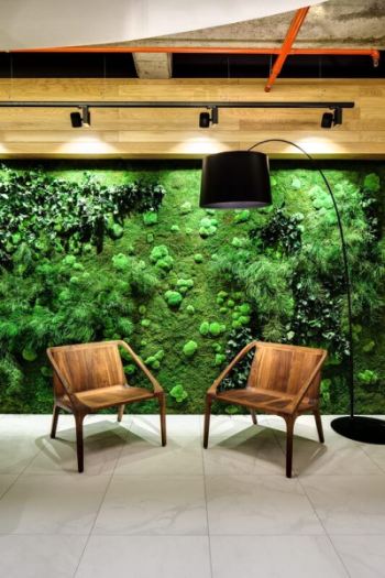 Florum - umělé zelené stěny